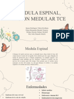 Medula Espinal, Lesion Medular Tce