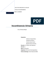 Seminario Incontinencia Urinaria