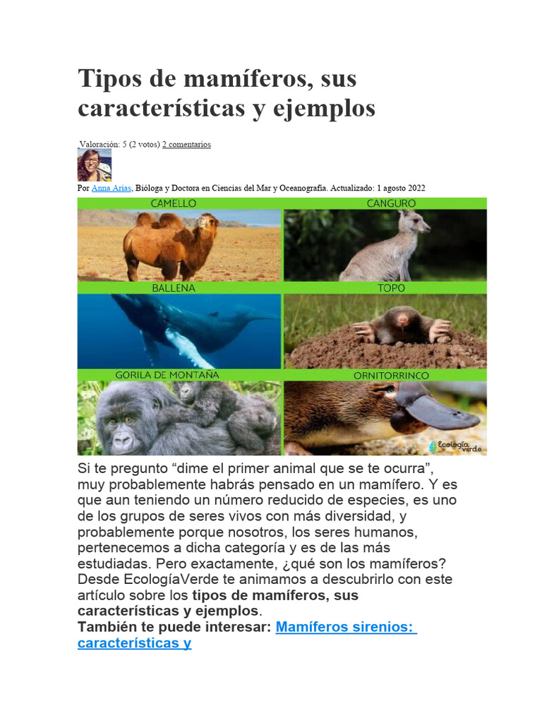 Tipos y características de mamíferos | PDF | Salud y bienestar ...