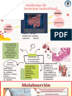 Enfermedad de Malabsorcion