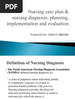 BN1151 Lecture On Nursing Care Plan and Nursing Diagnosis Planning Implementation and Evaluation 0