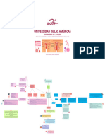 Fisiología y Anatomía Del Aparato Reproductor