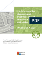 IWGDF 2023 04 Infection Guideline