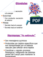 GLANDULAS SISTEMA ENDOCRINO