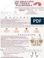 Infografía Exploración de Tórax y Pulmones