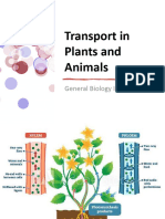 Transport in Plants and Animals