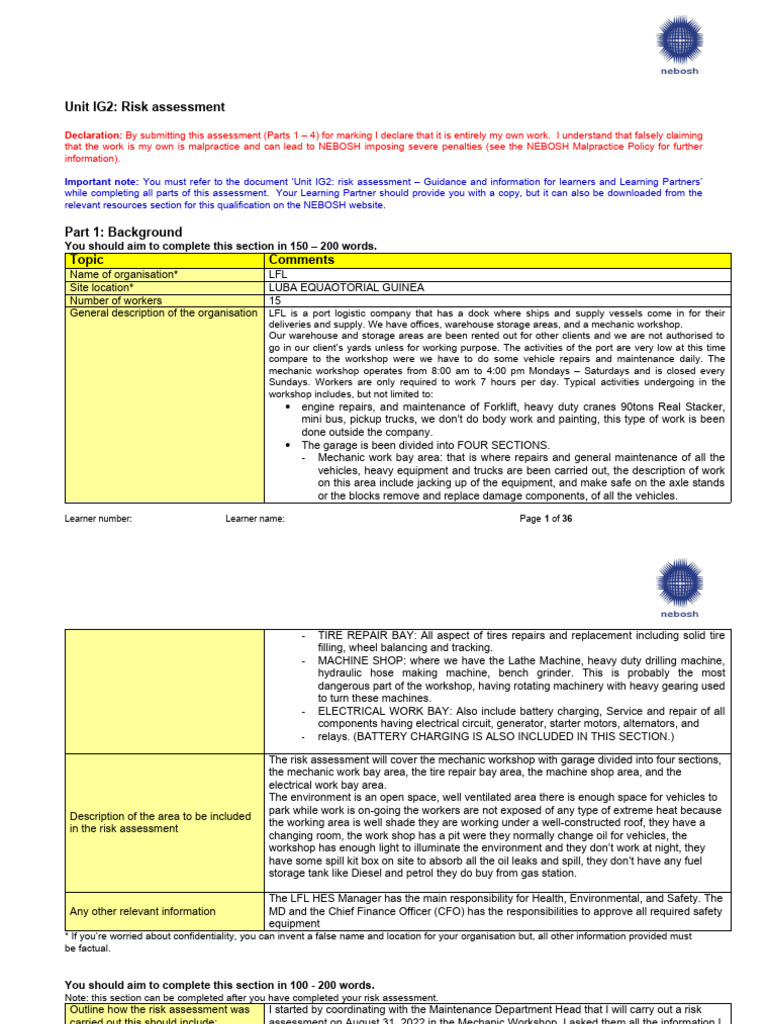 IG2 Form - Risk Assessment | PDF | Personal Protective Equipment | Welding