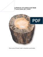 Identifying Patterns of Lumberyard Mold