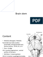 Clinical Neuroanatomy - Brain Stem