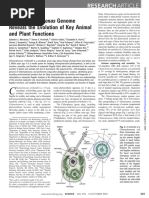 Chlamydomonas Molecular Genetics and Physiology | PDF | Gene