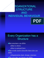 Org Structure and Individual Behaviour