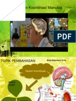 Sistem Koordinasi Manusia