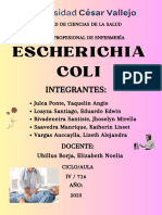 Infografía de Escherichia Coli