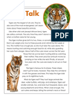 5th Tiger Talk