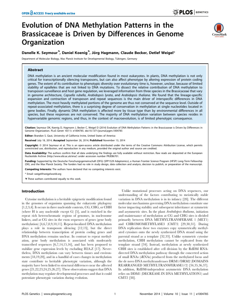 Seymour 2014 Evolution of Dna Methylation Patter | PDF | Dna ...