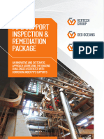 VER P Pipe Support Inspection Remediation Package PASS 1
