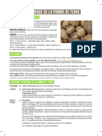 Fiche Pomme de Terre 40