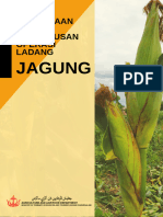 DOAA Manual Jagung 5