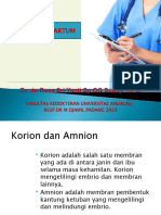 Korioamnionitis PPT 2