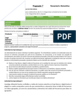 Portafolio de Evidencia Prog 7