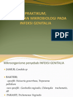 Praktikum Mikrobiologi Pada Infeksi Genitalia