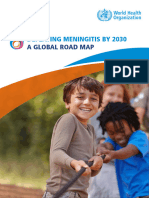 Defeating Meningitis by 2030: A Global Road Map