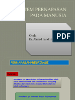 PERNAPASAN MANUSIA New