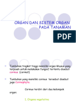 Organ Dan Sistem Organ Pada Tumbuhan 2012