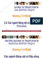 Chuong 2.2.2. Phan Nganh Song Dau (Cephalochordata)