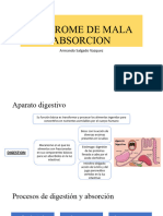 Sindrome de Mala Abosrcion