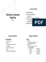 Electrical Signaling-2