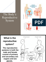 Reproductive System Power Point Ackroyd