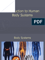 Introduction to Human Body Systems Teaching