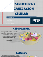 Unida-2 Semana 9 Clase 2 Miercoles