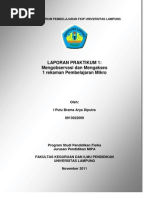 Download Laporan Micro Teaching 9 Keterampilan Dasar Mengajar by i putu brama arya diputra oi SN72685343 doc pdf