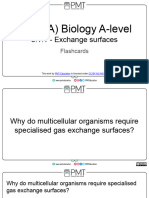 Flashcards - Topic 3.1 Exchange Surfaces - OCR (A) Biology A-Level