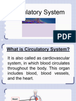 Circulatory-System