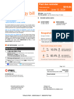 551421981-PSEG-Elec-Gas-Bill 29 May 2024