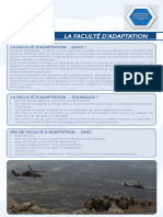 5_la_faculte_adaptation