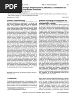 Download Responses to Drought and Phosphorus Deficiency-And PHYTOHORMONE by ISHTIAQ SN7268598 doc pdf