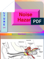Noise Hazard