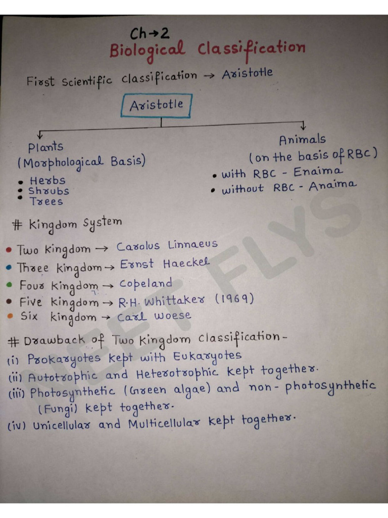 Biological Classification - Notes | PDF