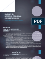 Unidad III - Tema No. 2. - Acción de Libertad - Derecho Procesal Contitucional - I-20223 - JCLM PDF