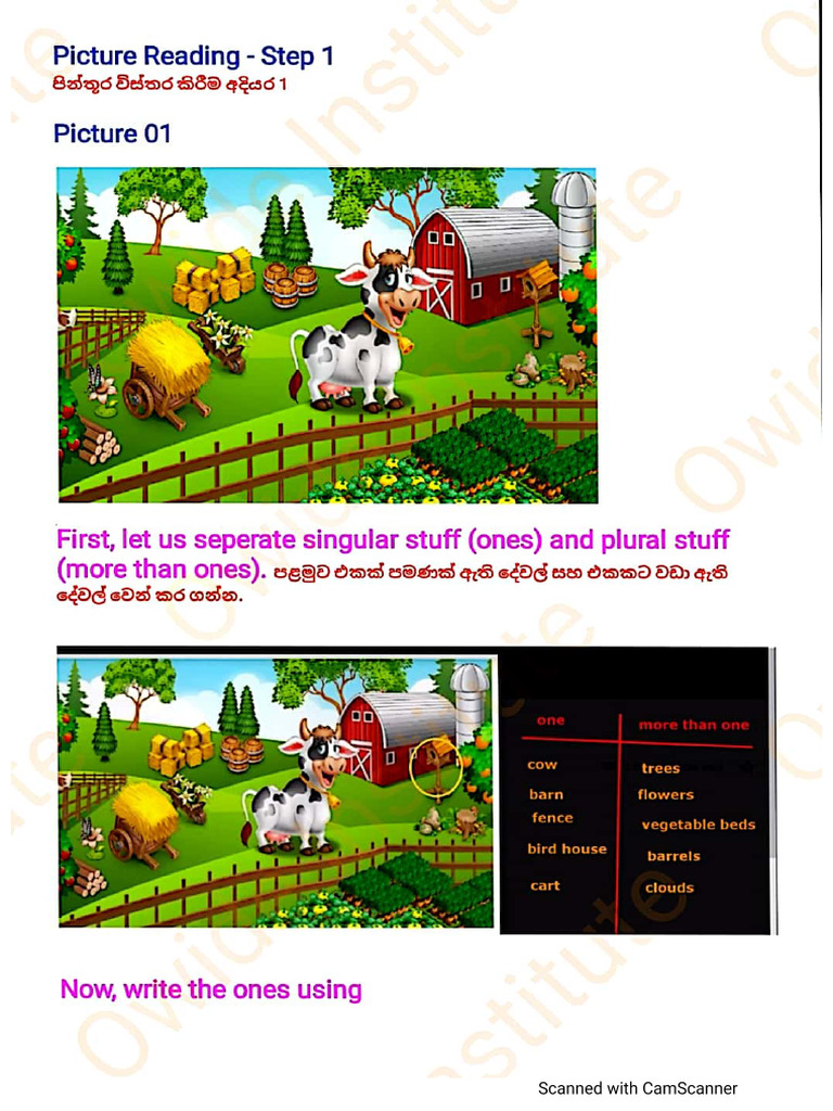 Picture Description | PDF