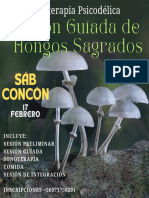 Sesion Guiada FEB Concon