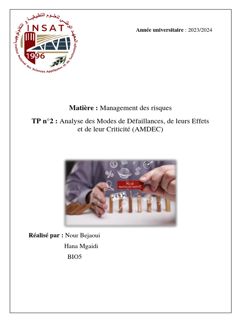 AMDEC : Gestion des Risques Machines | PDF | Risque
