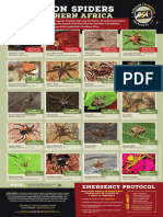 ASI Spiders-A3-Poster SOUTHERN-AFRICA ENG WEB