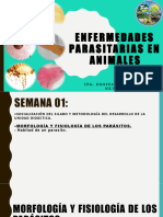 Enfermedades Parasitarias en Animales