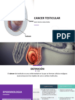 Cancer Testicular