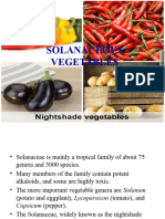 Solanaceous Vegetables